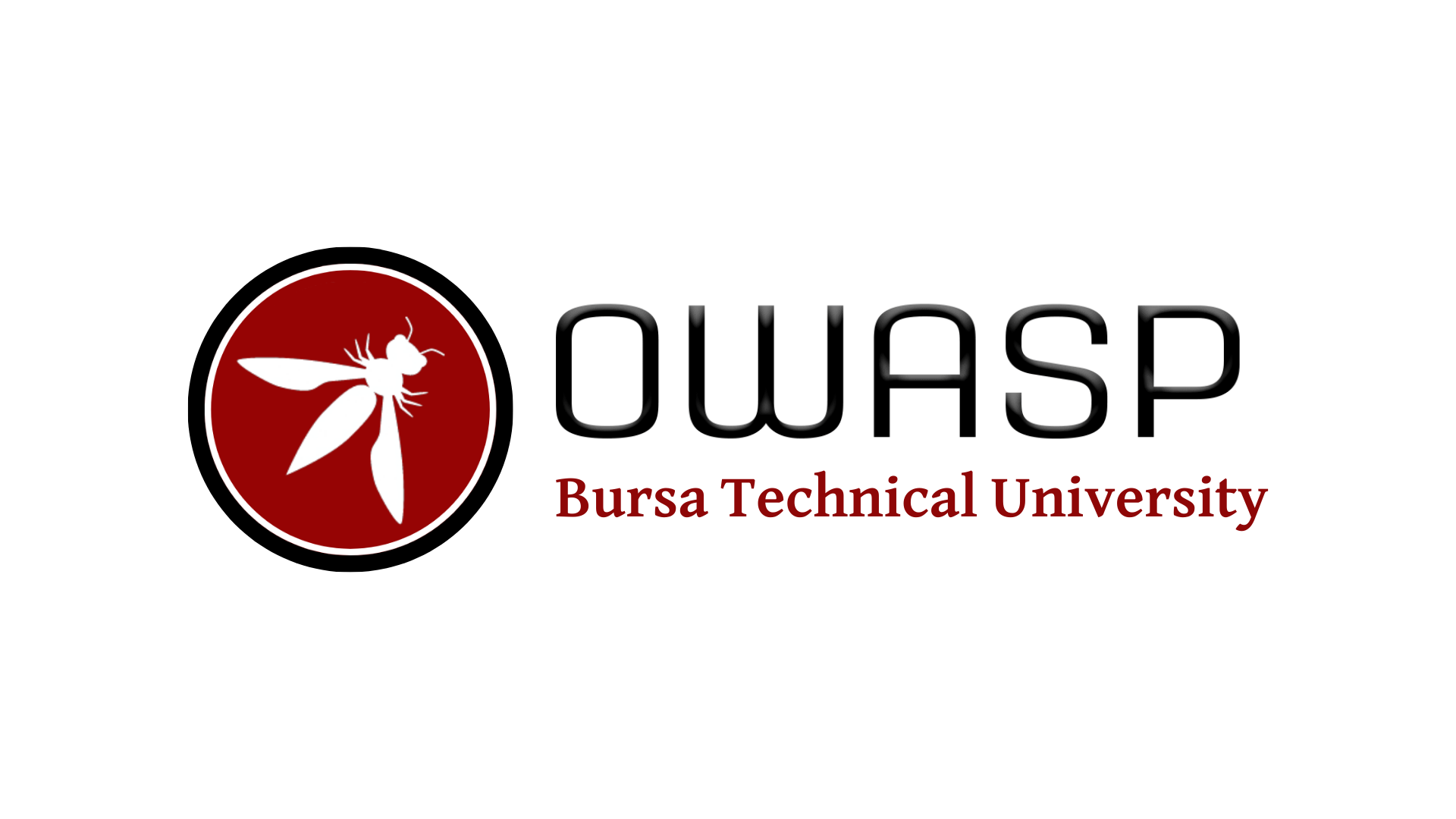 owasp BTU 